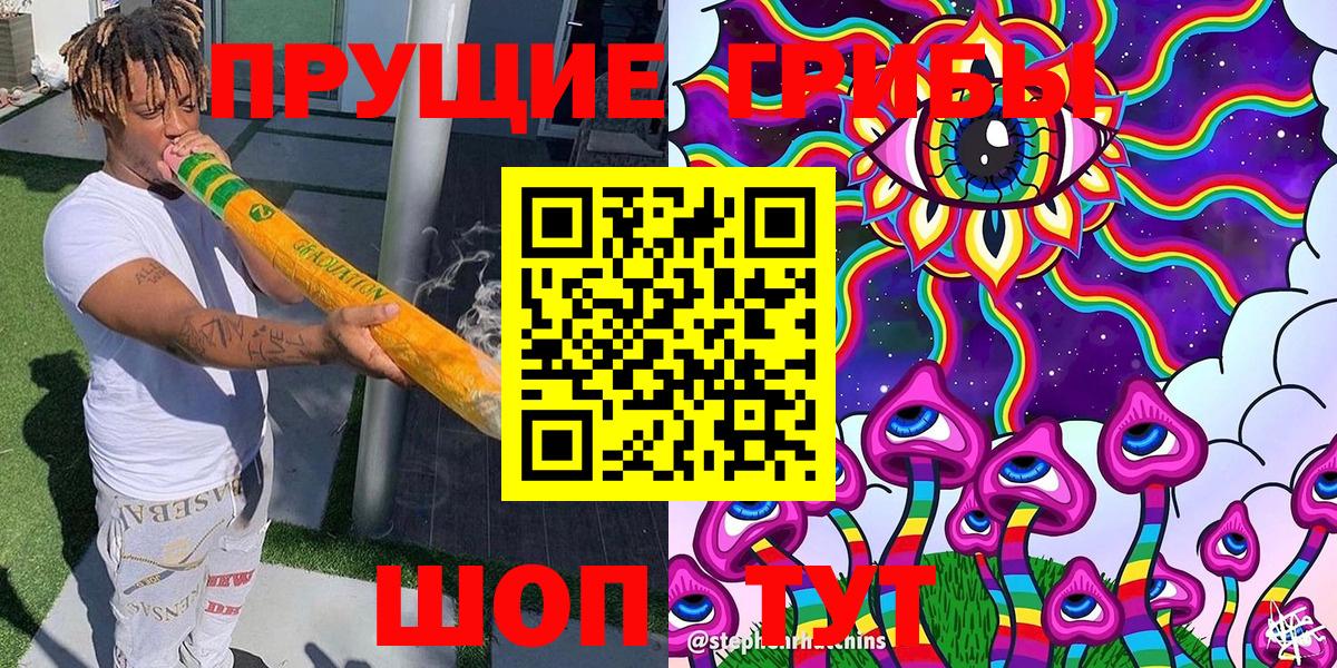 Зеленогорск  Галлюциногенные грибы Psilocybine cubensis  Вход с VPN 