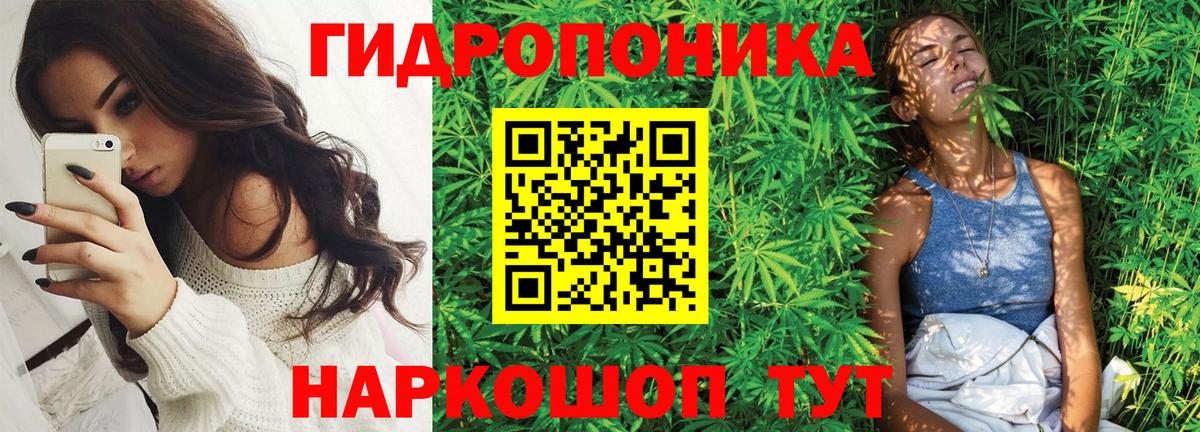 Шишки марихуана MAZAR Зеленогорск